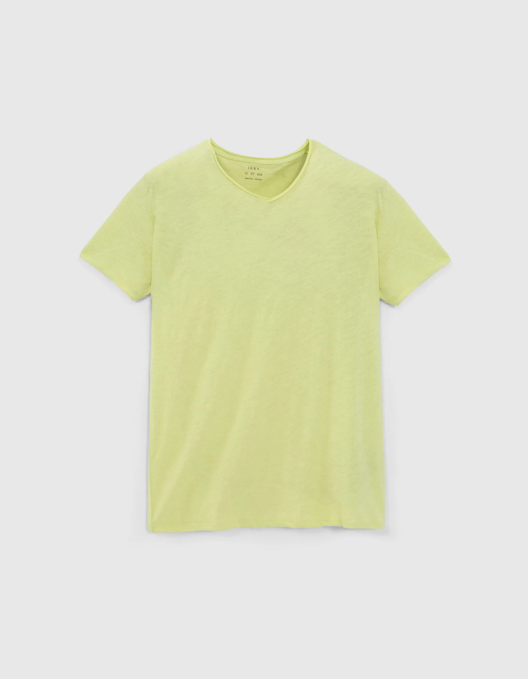 Organic Cotton V-Neck Men's Essential Aniseed T-shirt